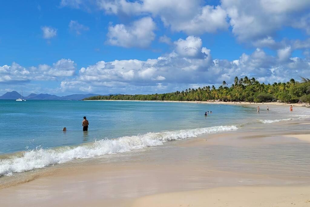 Ti-Ti Diamant Studio Plage Du Diamant 2 Pers Clim Wifi Le Diamant Eksteriør billede